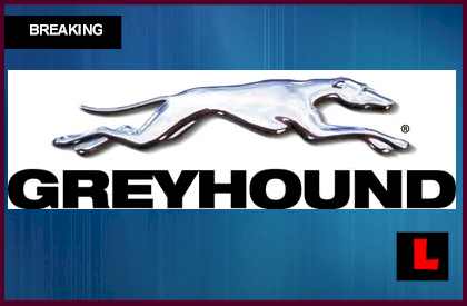 Greyhound Bus Crash Today Strikes I-80: Pennsylvania ...