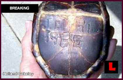 [imagetag] http://www.televisioninternet.com/news/pictures/Holland-Cokeley-turtle.jpg