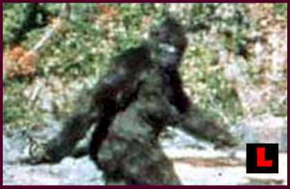 searching for bigfoot inc