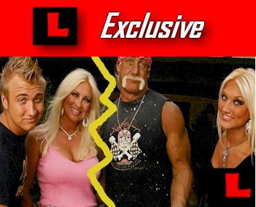 Hulk Hogan Affair